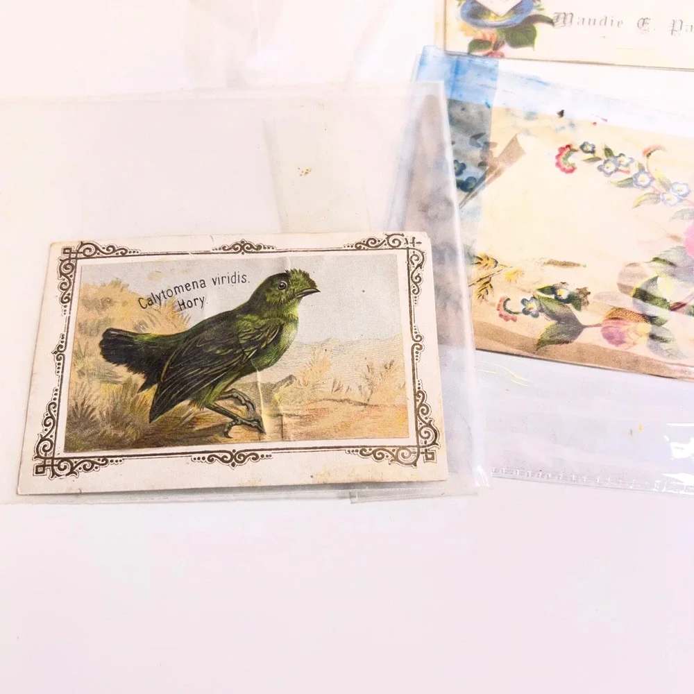 Vintage Victorian Ephemera Lot 11pc Floral Calling Card Trade Card Antique Paper